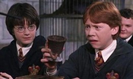 哈利波特最新爆料图片,神秘爆料图片揭示未公开剧情与角色